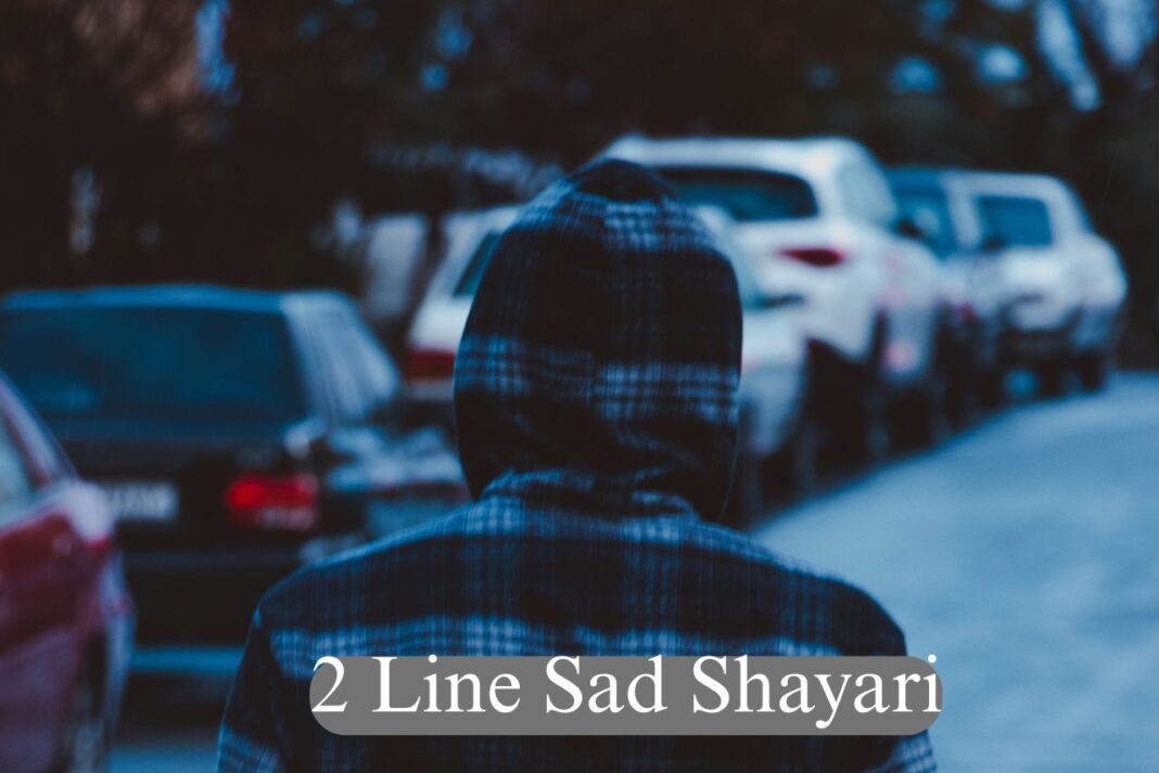 2-line-sad-shayari