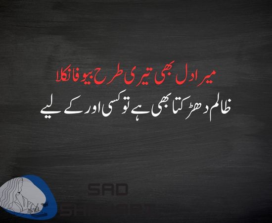 2 Line Bewafa Shayari in Urdu