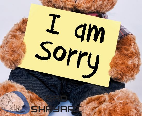 Feeling Sorry Shayari With Image