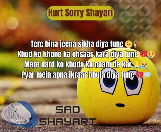 Hurt Sorry Shayari image